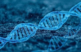 DNA-Doppelstrang DNA-Doppelstrang