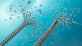 Mikrotubuli beim Ab- und Aufbau – diese dynamischen Proteinstränge bilden das Gerüst der Zelle und sind aktiv an der Weiterleitung von Signalen beteiligt. Mikrotubuli beim Ab- und Aufbau – diese dynamischen Proteinstränge bilden das Gerüst der Zelle und sind aktiv an der Weiterleitung von Signalen beteiligt.