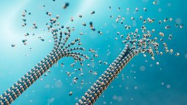 Mikrotubuli beim Ab- und Aufbau – diese dynamischen Proteinstränge bilden das Gerüst der Zelle und sind aktiv an der Weiterleitung von Signalen beteiligt. Mikrotubuli beim Ab- und Aufbau – diese dynamischen Proteinstränge bilden das Gerüst der Zelle und sind aktiv an der Weiterleitung von Signalen beteiligt.