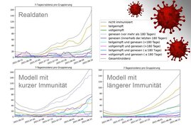 COVID-19-Modellrechnungen