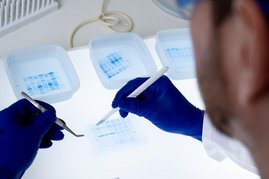 Gele auf einer Laborfläche