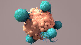 SSRI und andere Serotoninblocker Abwehrzellen Tumorzellen 