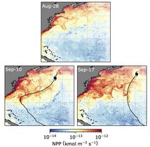 Schaubilder tropische Wirbelstürme