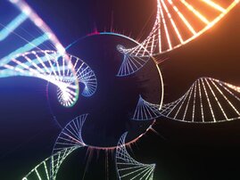  bioinformatische Vergleich vieler verschiedener bakterieller Genome