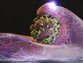 Hier ist eine Zelle und in der Bildmitte ein Virus dargestellt.