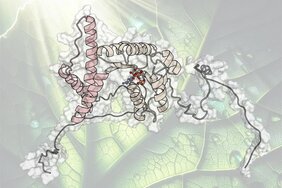 Moleküldarstellung vor grünem Blatt