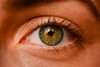 Auge Auge