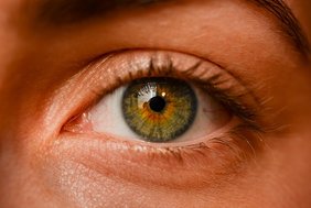 Auge Auge