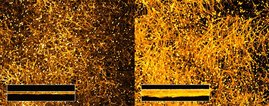 Albumin löst Pilzvirulenz aus: Candida albicans bildet in Gegenwart von menschlichem Albumin (rechts) dichtere Biofilme als in dessen Abwesenheit (links), und offenbart damit einen bisher versteckten Pathogenitätsweg. Biofilm von Candida albicans