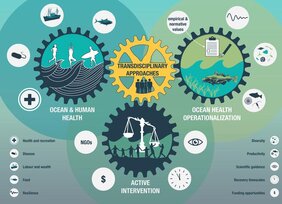 Schematische Abbildung zu Ocean & Human Health