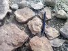 fossile Korallen 