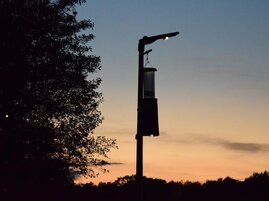 Dies ist eine der neuen Leuchten auf dem Testfeld. Eine Insektenfalle hängt an der Lampe.