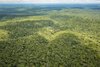 Blick über den Amazonas-Regenwald.