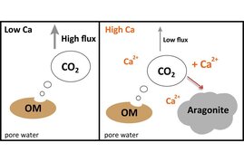 Grafik Calcium vermindert CO2-Ausstoß aus arktischen Böden durch Mineralbildung 