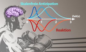 Grafik: Skalierungsfreie Schätzung der Wahrscheinlichkeit: So trifft das Gehirn Vorhersagen 