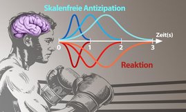 Grafik: Skalierungsfreie Schätzung der Wahrscheinlichkeit: So trifft das Gehirn Vorhersagen 