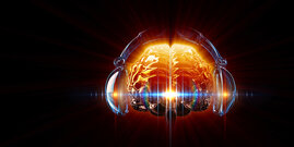 Schallverarbeitung im Gehirn