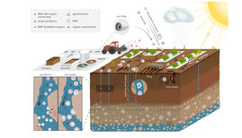 Boden Mikroplastik