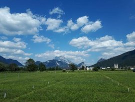 Langzeitexperiment zu Nährstoffmangel im Grünland an der landwirtschaftlichen Forschungsstation Raumberg-Gumpenstein in Admont. Langzeitexperiment zu Nährstoffmangel im Grünland an der landwirtschaftlichen Forschungsstation Raumberg-Gumpenstein in Admont