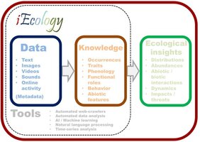 GRafik iEcology