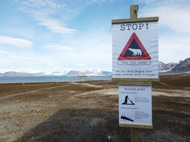 Arktis Eisbärschild Arktis Eisbärschild