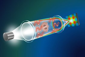 Physikalische Grundlagen des neuen QPI-Verfahrens: Der Lichtweg durch das Mikroskop geht von der Lichtquelle (links) über den Kondensor, die Probe und das Objektiv bis hin zum Detektor.  