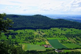 Landschaft mit Landwirtschaft