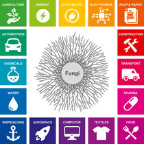     Die Abbildung zeigt, welche Industrien von den vielfältigen Eigenschaften der Fadenpilze profitieren können.