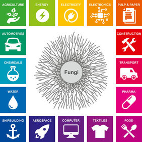     Die Abbildung zeigt, welche Industrien von den vielfältigen Eigenschaften der Fadenpilze profitieren können.