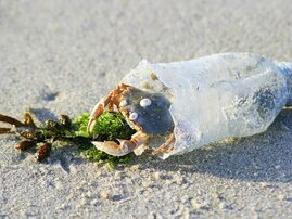 Mikroplastik im Meer