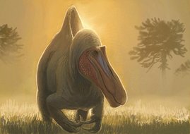 Illustration des Raubsauriers Camarillasaurus cirugedae.