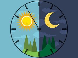 Chronobiologie: Taktgeber für die Organe Eine Uhr mit Tag und Nacht Seiten