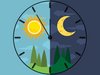 Chronobiologie: Taktgeber für die Organe Eine Uhr mit Tag und Nacht Seiten