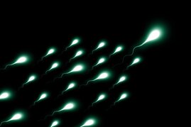 grafische Darstellung von Spermien