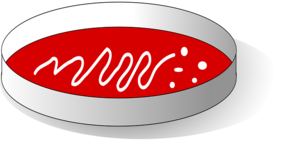 Grafik: Petrischale mit rotem Medium und Bakterienkulturen