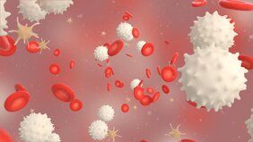 Bei APS richtet sich das Immunsystem gegen körpereigene Fette und Eiweiße auf Blutzellen und Gefäßwandzellen. 