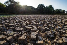 Klimawandel verstärkt extreme Hitze im Boden  