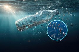Plastikflasche im Wasser