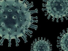 grafische Darstellung Corona Virus