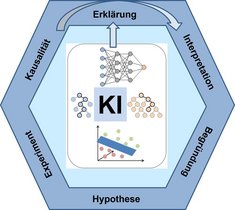 Grafik KI-Modelle in den Naturwissenschaften