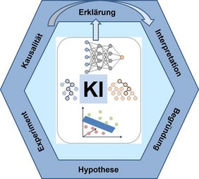 Grafik KI-Modelle in den Naturwissenschaften
