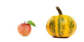 Zwei unabhängige Studien an Äpfeln und Kürbissen