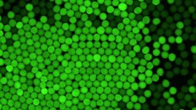 Künstliche Zellen, die den CETCH Zyklus betreiben. Aktive CO2-Fixierung wird durch grüne Fluoreszenz angezeigt. Künstliche Zellen, die den CETCH Zyklus betreiben. Aktive CO2-Fixierung wird durch grüne Fluoreszenz angezeigt.