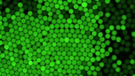 Künstliche Zellen, die den CETCH Zyklus betreiben. Aktive CO2-Fixierung wird durch grüne Fluoreszenz angezeigt.