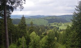 Blick auf den Südabhang des Thüringer Waldes. Das Mosaik einer kleinflächigen Bewirtschaftung ist deutlich erkennbar. 