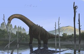 Illustration des Sauropoden Patagosaurus fariasiiasii