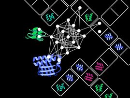Grafik Der Protein Domain Insertion Optimizer, kurz ProDomino