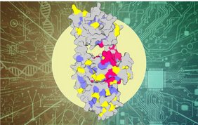 Schematische Darstellung der natürlichen Sequenzinformation kombiniert mit den auf Deep Learning basierenden designten Sequenzen, um die Proteineigenschaften identifizieren zu können Schematische Darstellung der natürlichen Sequenzinformation