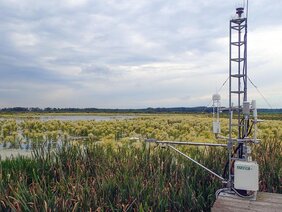 Instrumentierung zur Bestimmung der Treibhausgasflüsse (Eddy-Kovarianz System) mit Blick auf den wieder nasser und sehr viel stärker bewachsener Polder Zarnekow im Juni 202