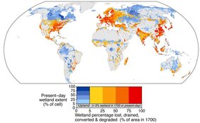 Verlust der Feuchtgebiete weltweit in den vergangenen 300 Jahren